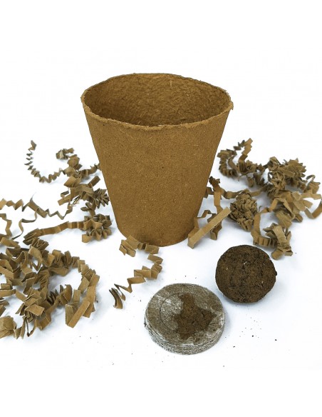 Kit de plantación personalizado