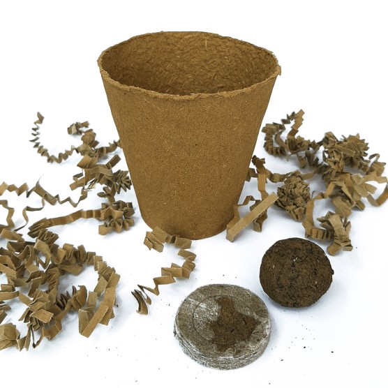 Kit de plantación | Regalos solidarios SJD