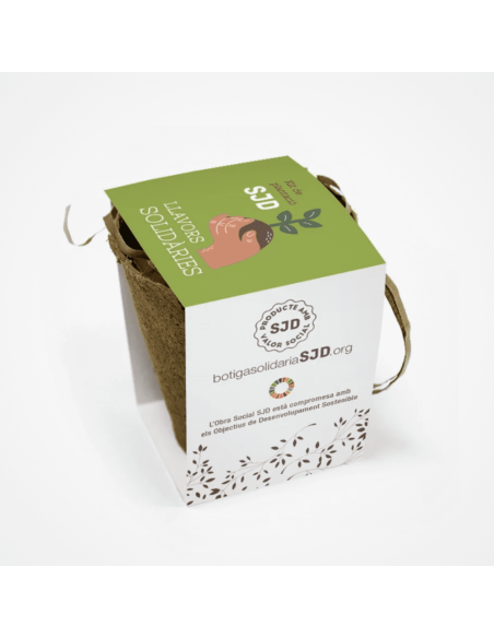 Kit de plantació | Regals solidaris SJD
