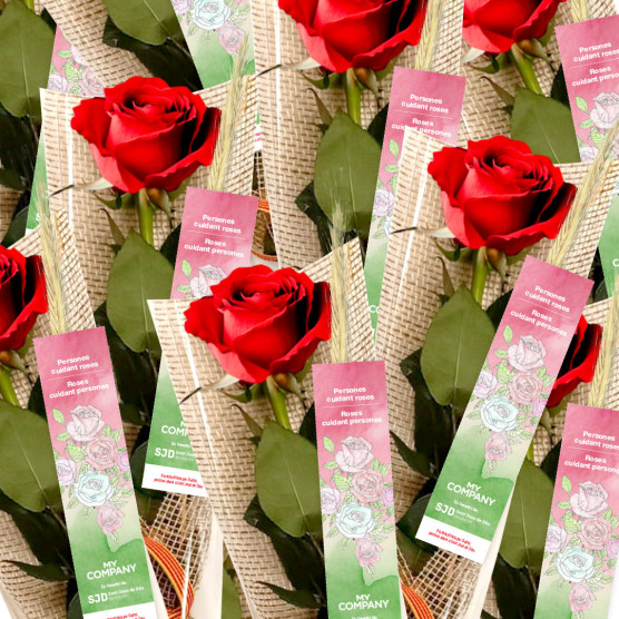 Rosas solidarias de Sant Jordi para empresas | Colabora con SJD 2