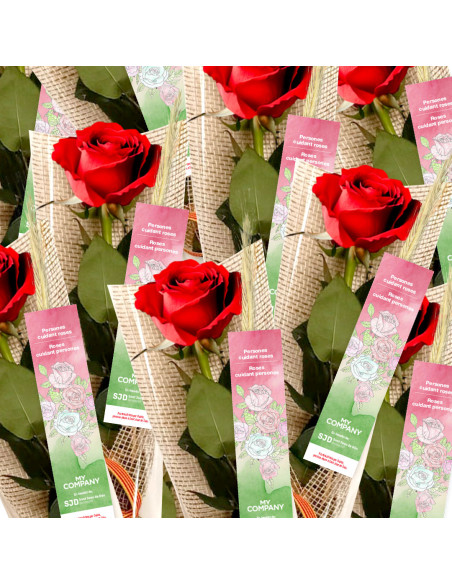 Roses solidàries de Sant Jordi | Col·labora amb SJD